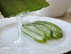 Diet Jus Aloevera Wortel Apel dan Yang Perlu Diperhatikan Saat Membuat Jus