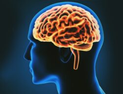 Aktivitas Sehari-hari bisa Pengaruhi Kesehatan Otak