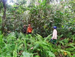 Wanita Paruh Baya Warga Jawa Tengah Hilang di Hutan saat Mencari Kayu Bakar