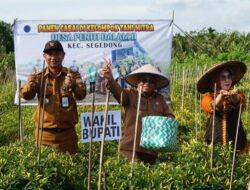 Puji Semangat Petani Cabai dan Dukungan Bank Indonesia