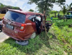 Alami Kecelakaan Lalu Lintas di Jalan Trans Kalimantan, Seorang Sopir Minibus Tewas