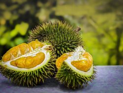 Mengonsumsi Buah Durian Bermanfaat bagi Kesehatan, Apa Saja?