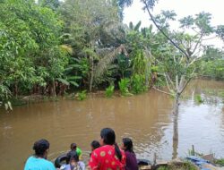 Enam Kecamatan di Sanggau Terendam Banjir, BPBD Ingatkan Warga di Sepanjang Aliran Sungai