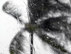 Curah Hujan Tinggi Hingga Pekan Depan, BMKG Ingatkan Warga Waspada