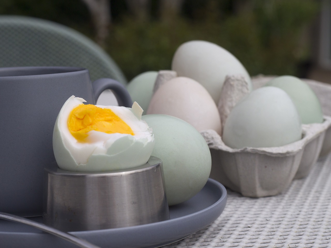 Tak Hanya Sebagai Sumber Protein, Telur Bebek Punya Banyak Manfaat Lain