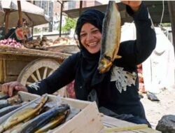 Mesir Keluarkan Peringatan Bahaya Mengonsumsi Ikan Fesikh dan Renga untuk Hidangan Idulfitri