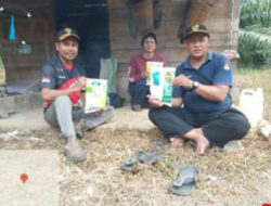 Bintara Penggerak Desa Temahar Tanam Jagung 1 Desa 1 Hektar Gunakan Bibit NK Syngenta Naga